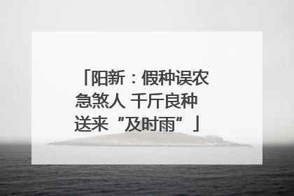 阳新：假种误农急煞人 千斤良种送来“及时雨”