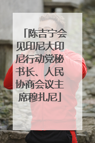 陈吉宁会见印尼大印尼行动党秘书长、人民协商会议主席穆扎尼