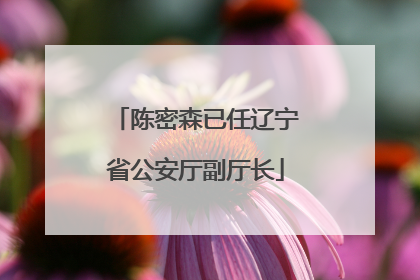 陈密森已任辽宁省公安厅副厅长