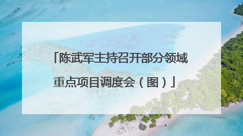 陈武军主持召开部分领域重点项目调度会（图）
