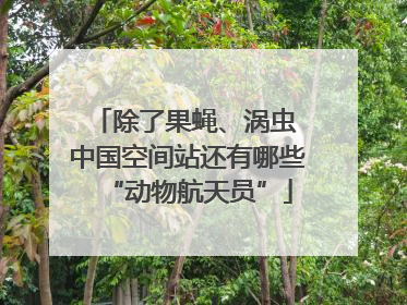 除了果蝇、涡虫 中国空间站还有哪些“动物航天员”