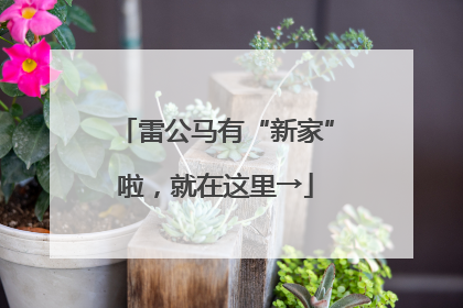 雷公马有“新家”啦，就在这里→