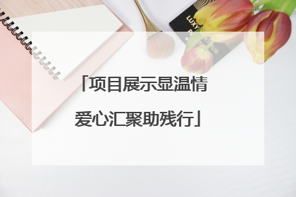 项目展示显温情 爱心汇聚助残行