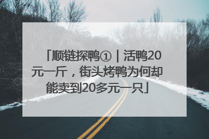 顺链探鸭①｜活鸭20元一斤，街头烤鸭为何却能卖到20多元一只