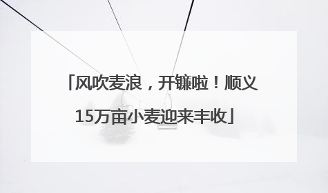 风吹麦浪，开镰啦！顺义15万亩小麦迎来丰收