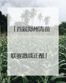 首届郑州青苗联赛激战正酣