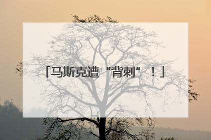 马斯克遭“背刺”！
