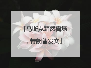 马斯克黯然离场，特朗普发文