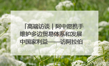 高端访谈｜阿中愿携手维护多边贸易体系和发展中国家利益——访阿拉伯议会议长亚马希
