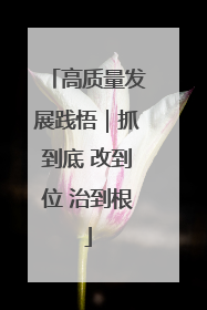 高质量发展践悟｜抓到底 改到位 治到根