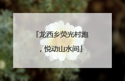 龙西乡荧光村跑，悦动山水间