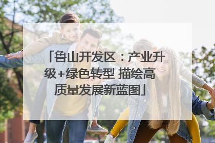 鲁山开发区：产业升级+绿色转型 描绘高质量发展新蓝图