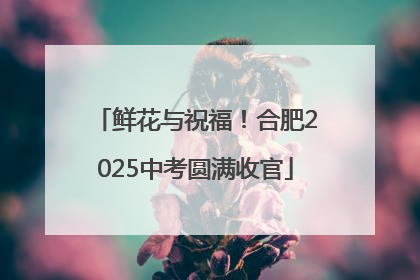 鲜花与祝福！合肥2025中考圆满收官