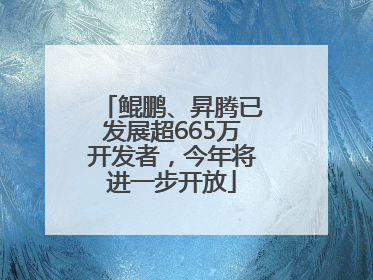 鲲鹏、昇腾已发展超665万开发者，今年将进一步开放