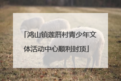 鸿山镇莲厝村青少年文体活动中心顺利封顶