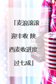 麦浪滚滚迎丰收 陕西麦收进度过七成