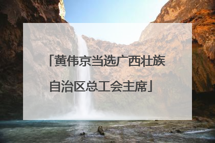 黄伟京当选广西壮族自治区总工会主席