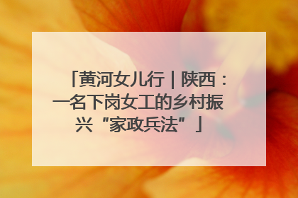 黄河女儿行｜陕西：一名下岗女工的乡村振兴“家政兵法”