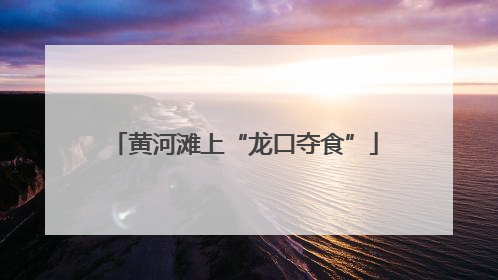 黄河滩上“龙口夺食”