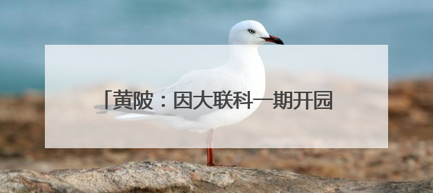 黄陂：因大联科一期开园 首批14家企业入驻