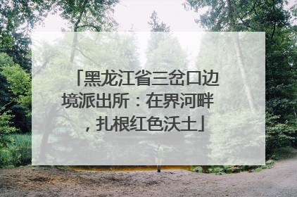 黑龙江省三岔口边境派出所：在界河畔，扎根红色沃土