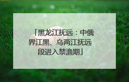 黑龙江抚远：中俄界江黑、乌两江抚远段进入禁渔期