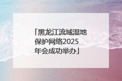 黑龙江流域湿地保护网络2025年会成功举办