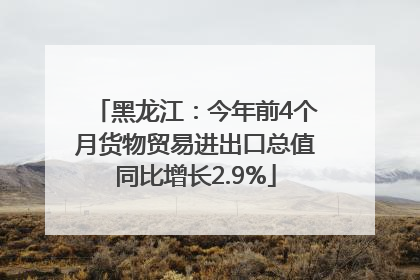 黑龙江：今年前4个月货物贸易进出口总值同比增长2.9%