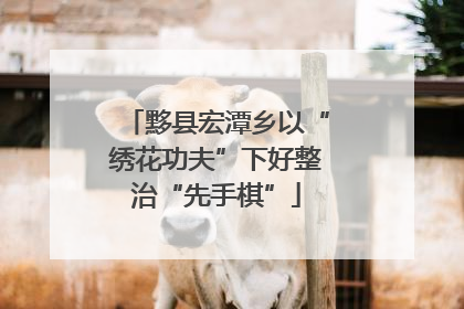 黟县宏潭乡以“绣花功夫”下好整治“先手棋”