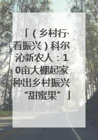 （乡村行·看振兴）科尔沁新农人：10亩大棚起家种出乡村振兴“甜蜜果”