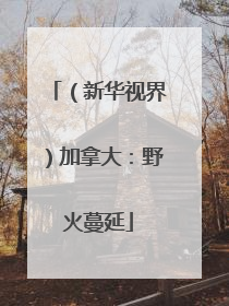（新华视界）加拿大：野火蔓延