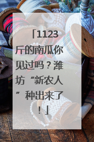 1123斤的南瓜你见过吗？潍坊“新农人”种出来了！