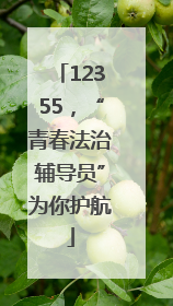 12355，“青春法治辅导员”为你护航