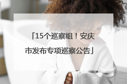 15个巡察组！安庆市发布专项巡察公告