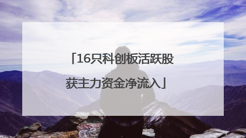 16只科创板活跃股获主力资金净流入