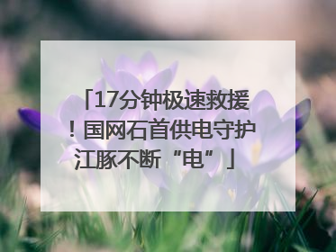 17分钟极速救援！国网石首供电守护江豚不断“电”