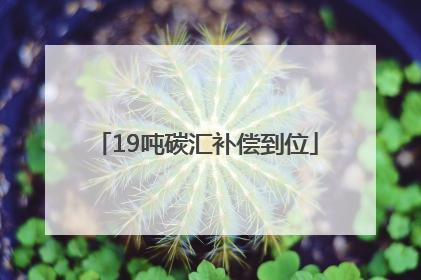 19吨碳汇补偿到位