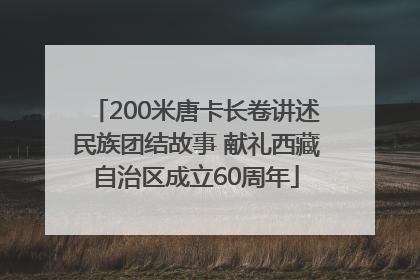 200米唐卡长卷讲述民族团结故事 献礼西藏自治区成立60周年