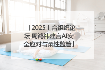 2025上合组织论坛 周鸿祎建言AI安全应对与柔性监管