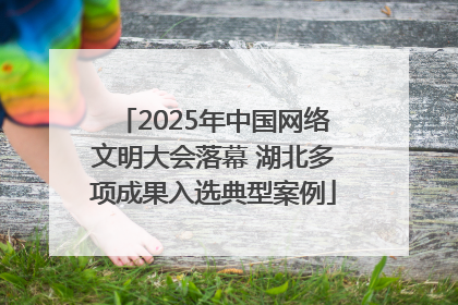 2025年中国网络文明大会落幕 湖北多项成果入选典型案例