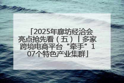 2025年廊坊经洽会亮点抢先看（五）丨多家跨境电商平台“牵手”107个特色产业集群