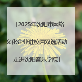 2025年沈阳市网络文化企业进校园双选活动走进沈阳音乐学院
