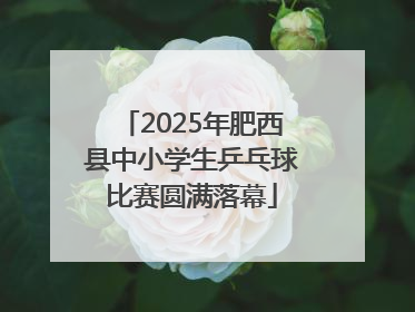 2025年肥西县中小学生乒乓球比赛圆满落幕