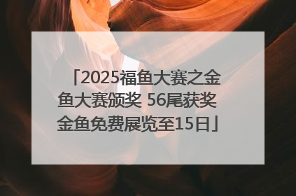 2025福鱼大赛之金鱼大赛颁奖 56尾获奖金鱼免费展览至15日