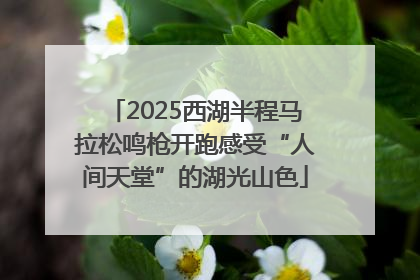 2025西湖半程马拉松鸣枪开跑感受“人间天堂”的湖光山色