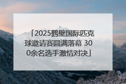 2025鹤壁国际匹克球邀请赛圆满落幕 300余名选手激情对决