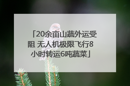 20余亩山蔬外运受阻 无人机极限飞行8小时转运6吨蔬菜