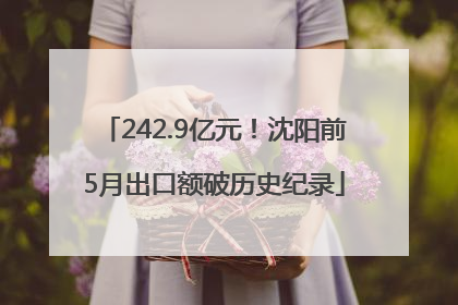 242.9亿元！沈阳前5月出口额破历史纪录