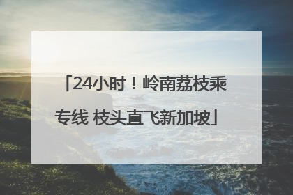 24小时！岭南荔枝乘专线 枝头直飞新加坡