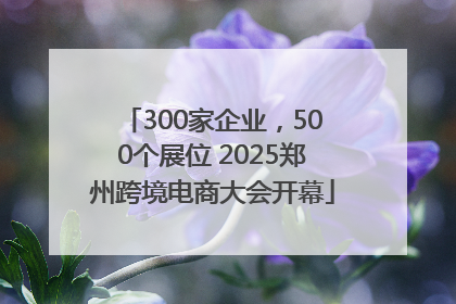 300家企业，500个展位 2025郑州跨境电商大会开幕